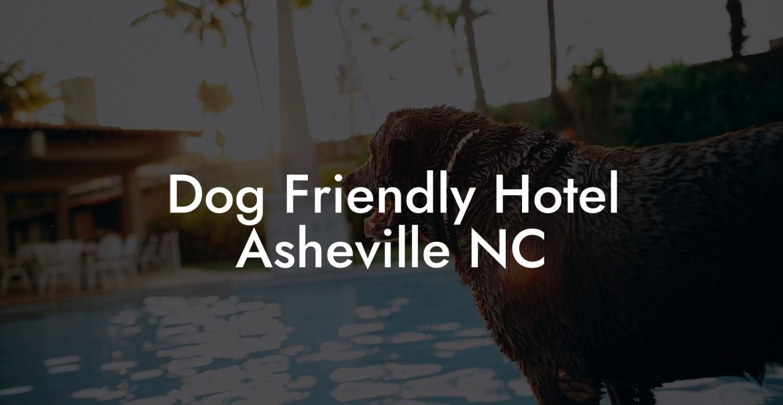 Dog Friendly Hotel Asheville NC Dog Hotels