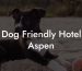 Dog Friendly Hotel Aspen