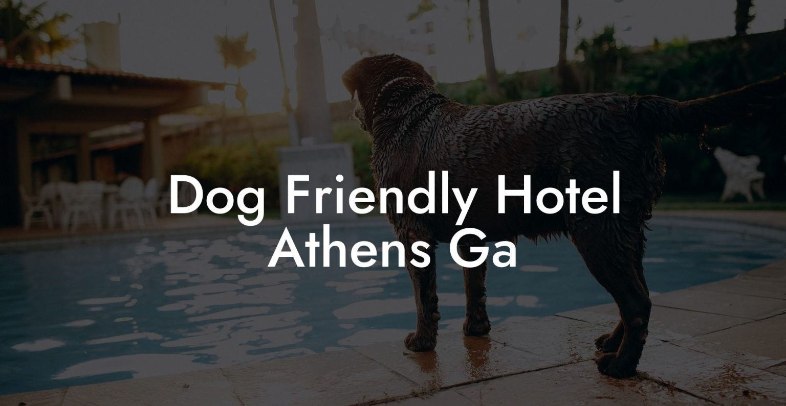 Dog Friendly Hotel Athens Ga Dog Hotels