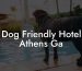 Dog Friendly Hotel Athens Ga