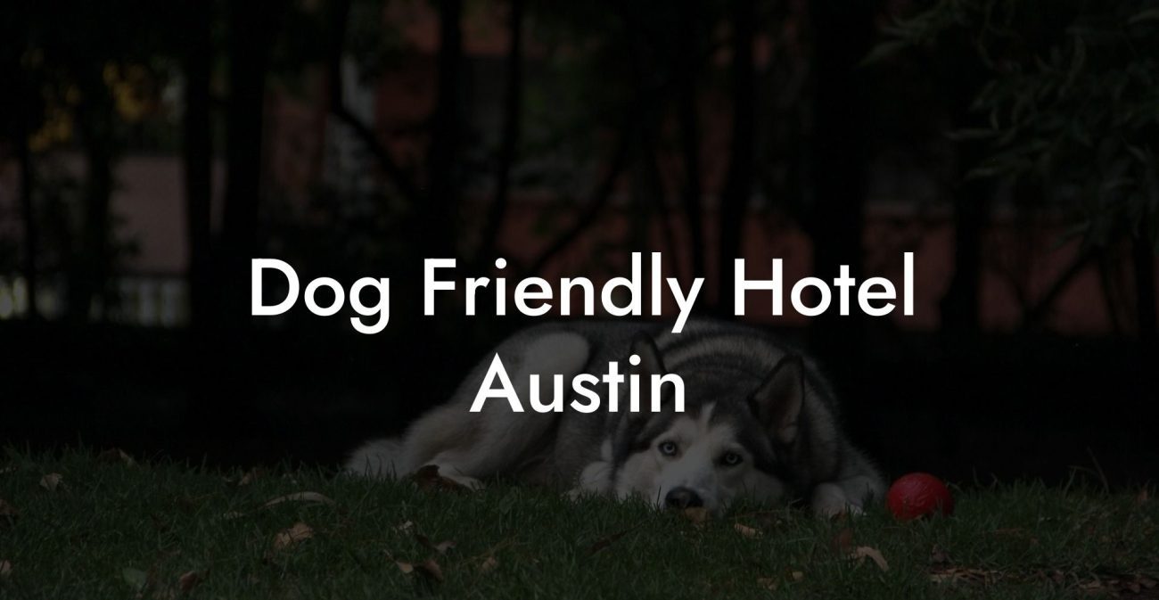 Dog Friendly Hotel Austin