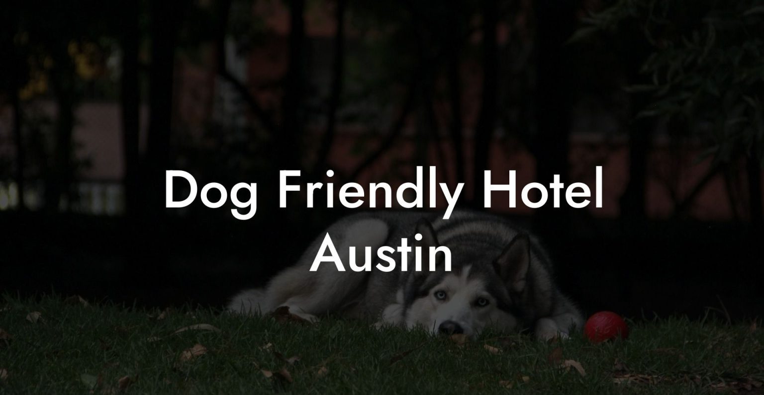 Dog Friendly Hotel Austin Dog Hotels