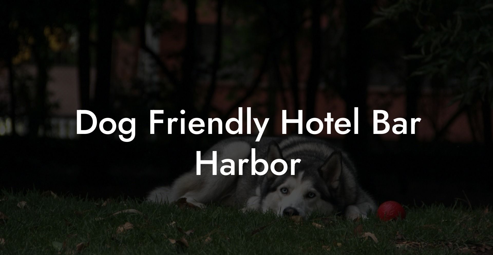 Dog Friendly Hotel Bar Harbor