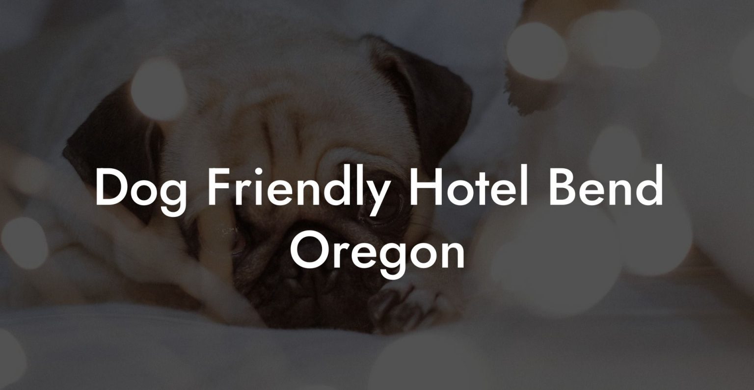 Dog Friendly Hotel Bend Oregon Dog Hotels