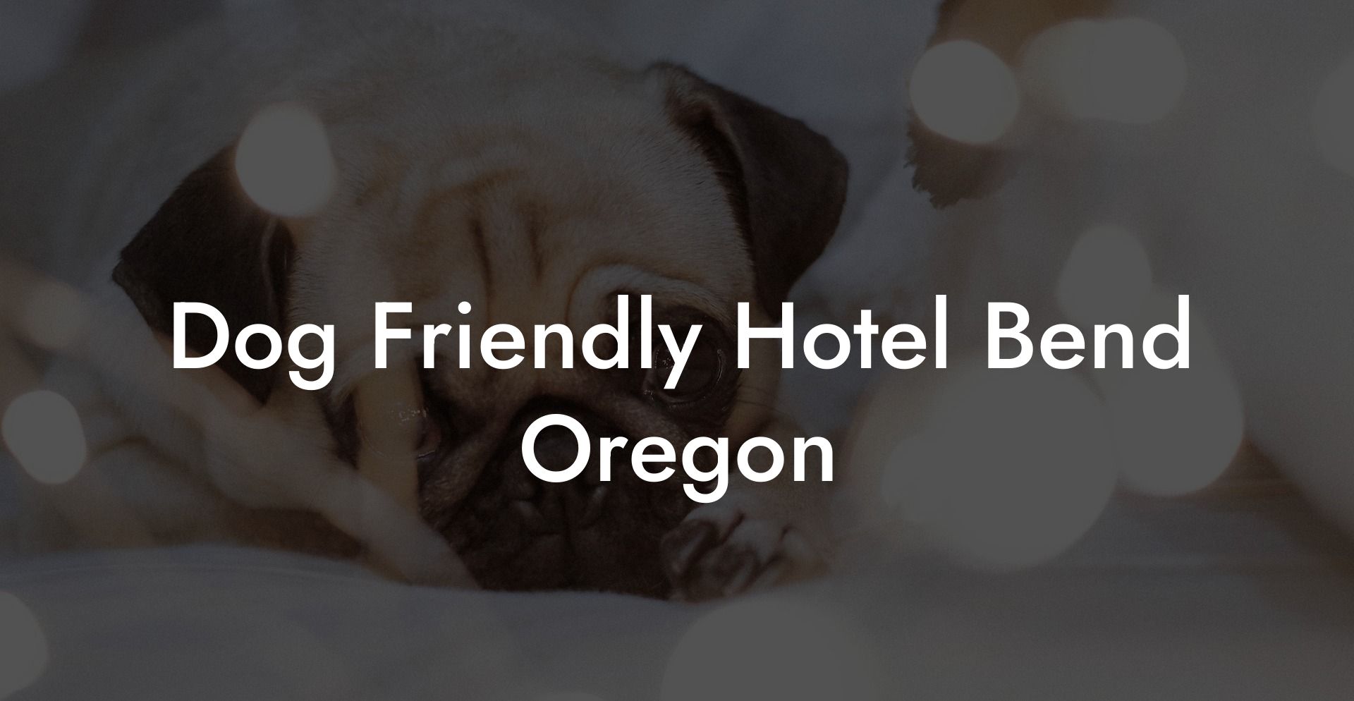 Dog Friendly Hotel Bend Oregon