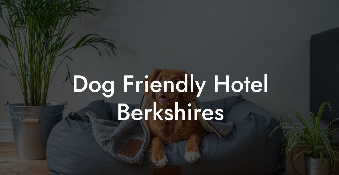 Dog Friendly Hotel Berkshires