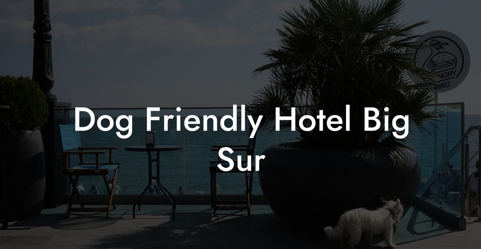 Dog Friendly Hotel Big Sur Dog Hotels