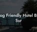 Dog Friendly Hotel Big Sur