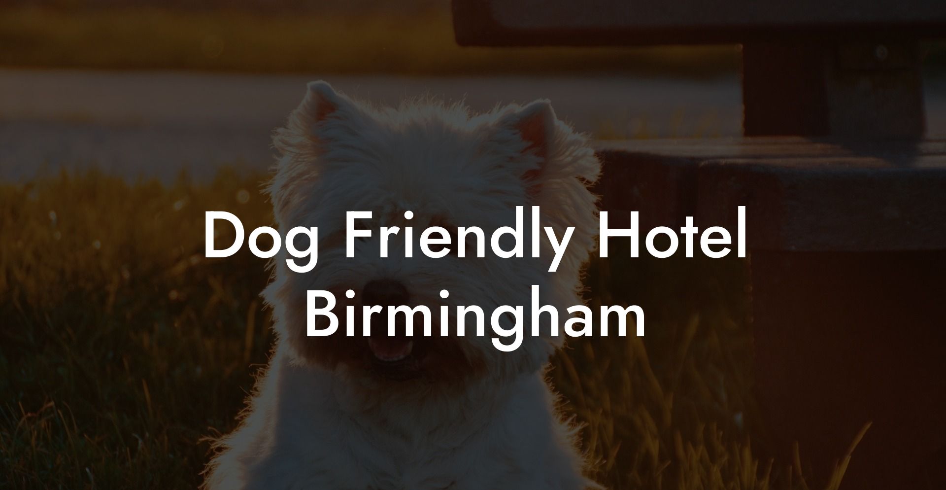 Dog Friendly Hotel Birmingham