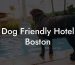 Dog Friendly Hotel Boston