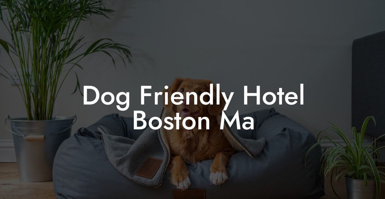 Dog Friendly Hotel Boston Ma