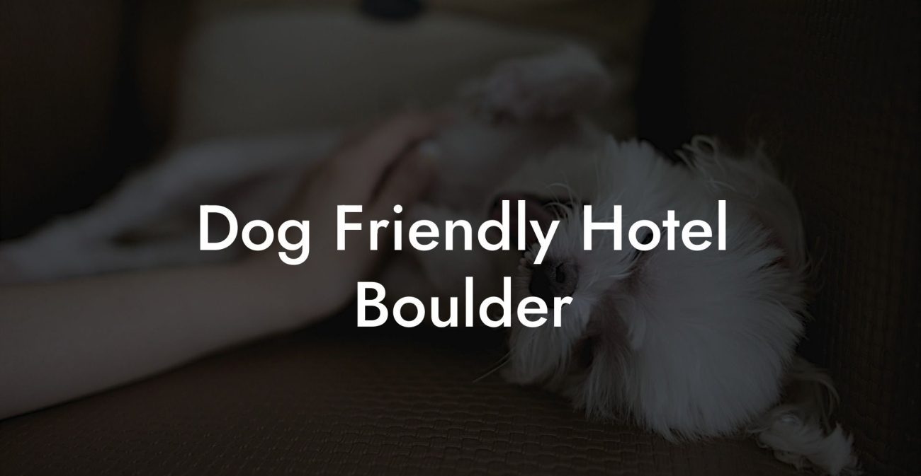 Dog Friendly Hotel Boulder