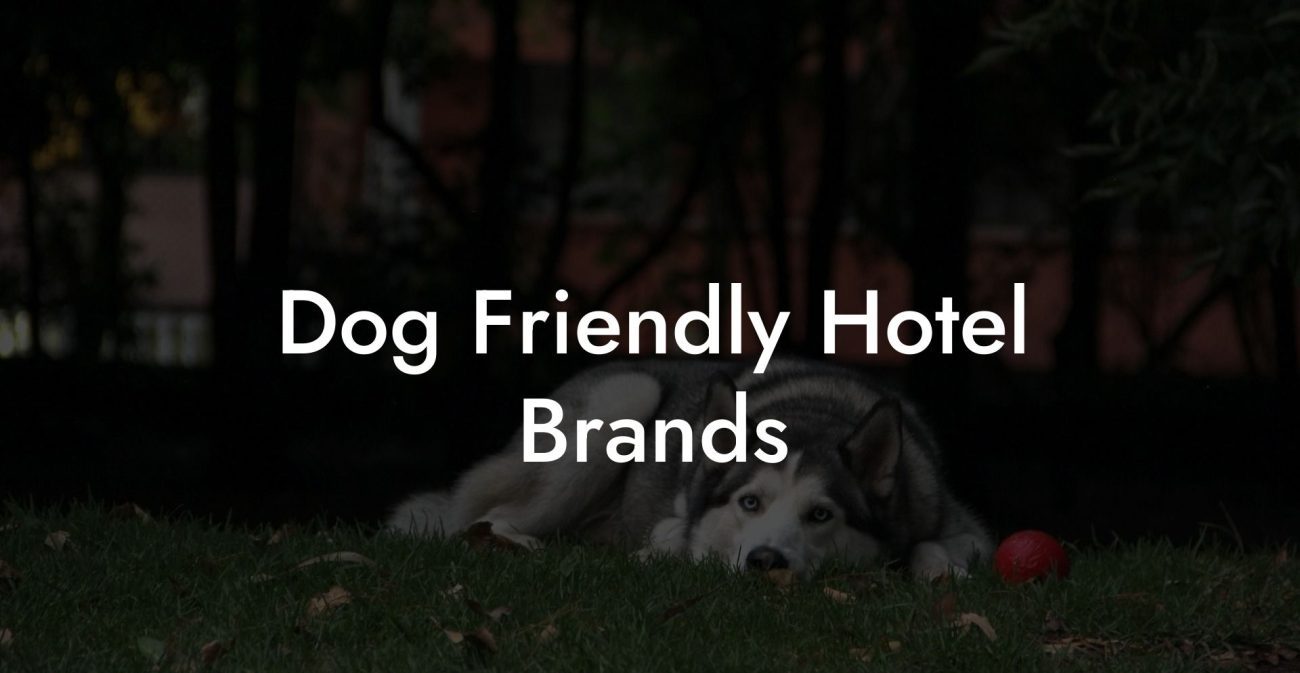 Dog Friendly Hotel Brands