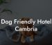 Dog Friendly Hotel Cambria