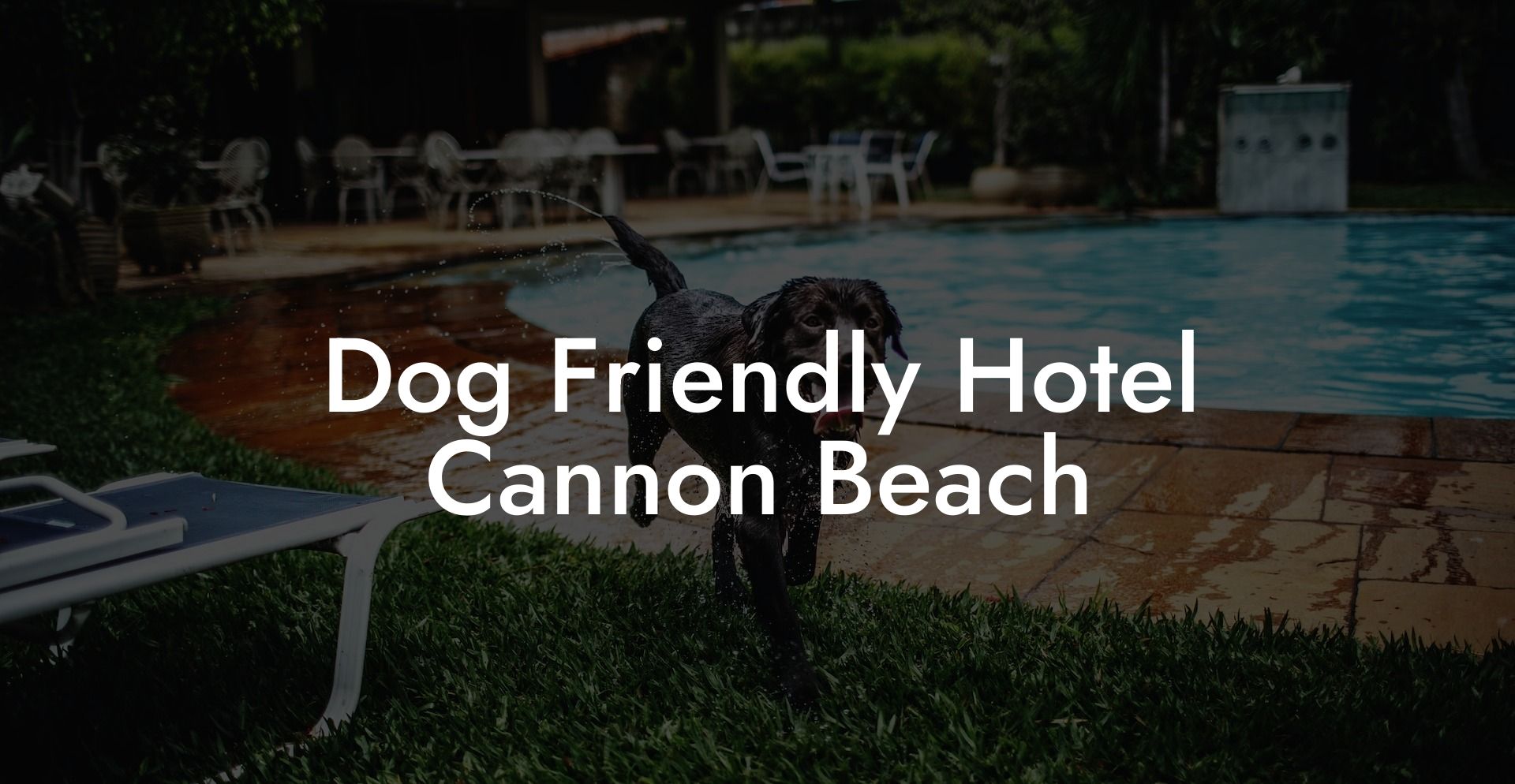 Dog Friendly Hotel Cannon Beach