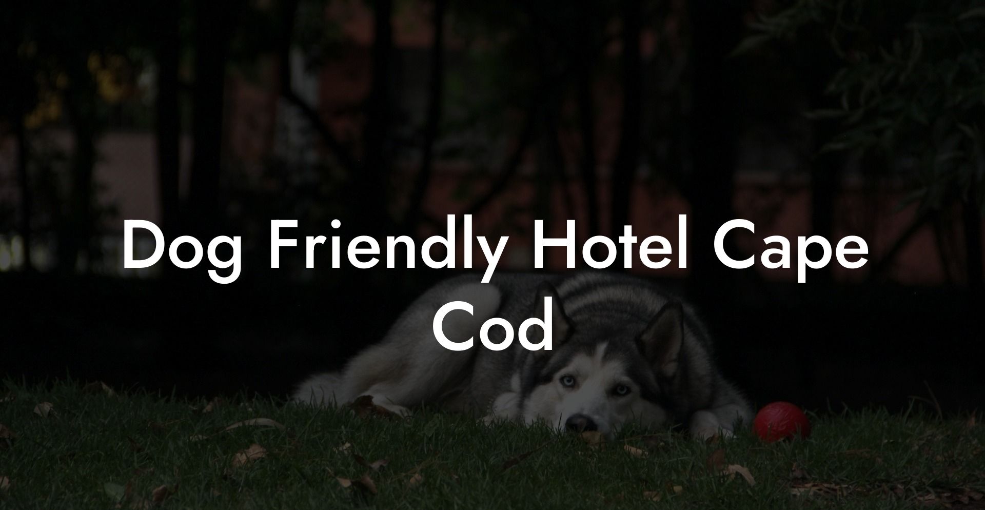 Dog Friendly Hotel Cape Cod