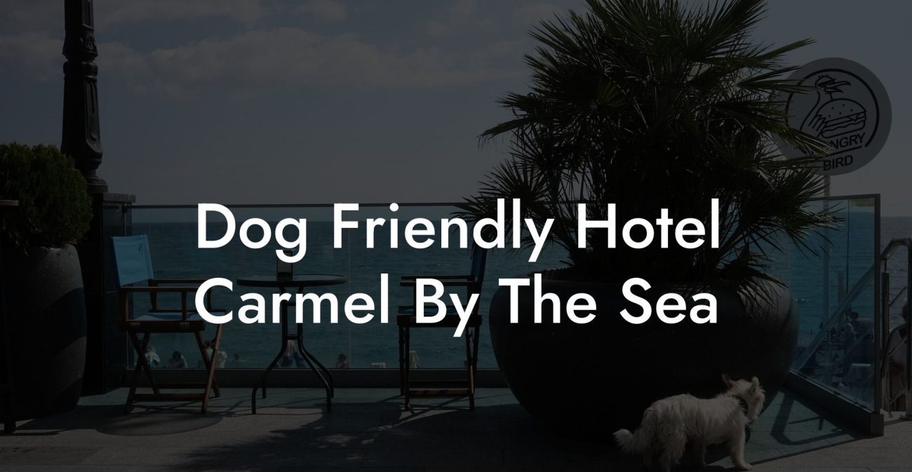 Dog Friendly Hotel Carmel By The Sea