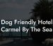 Dog Friendly Hotel Carmel By The Sea