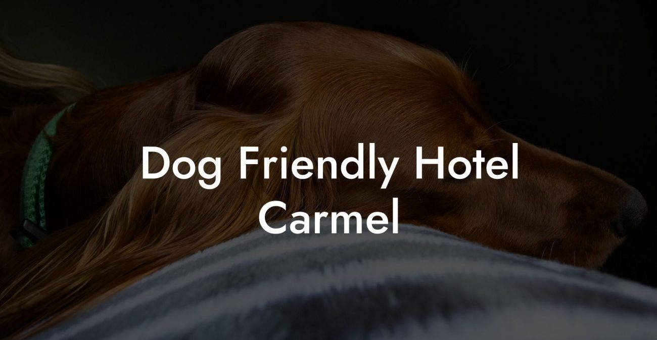 Dog Friendly Hotel Carmel