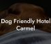 Dog Friendly Hotel Carmel