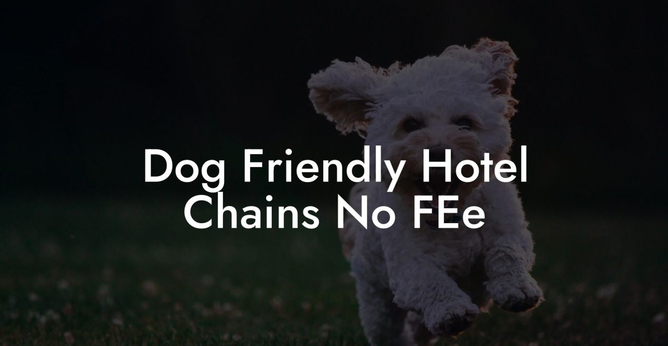 Dog Friendly Hotel Chains No FEe