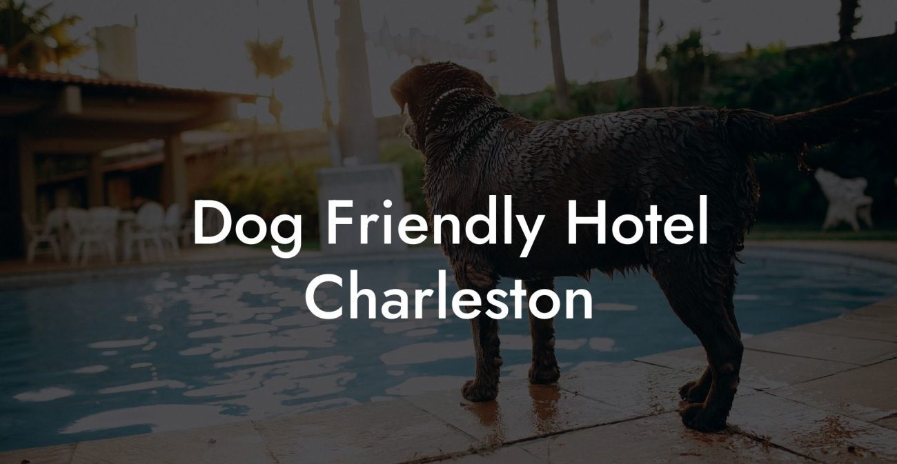 Dog Friendly Hotel Charleston