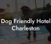 Dog Friendly Hotel Charleston