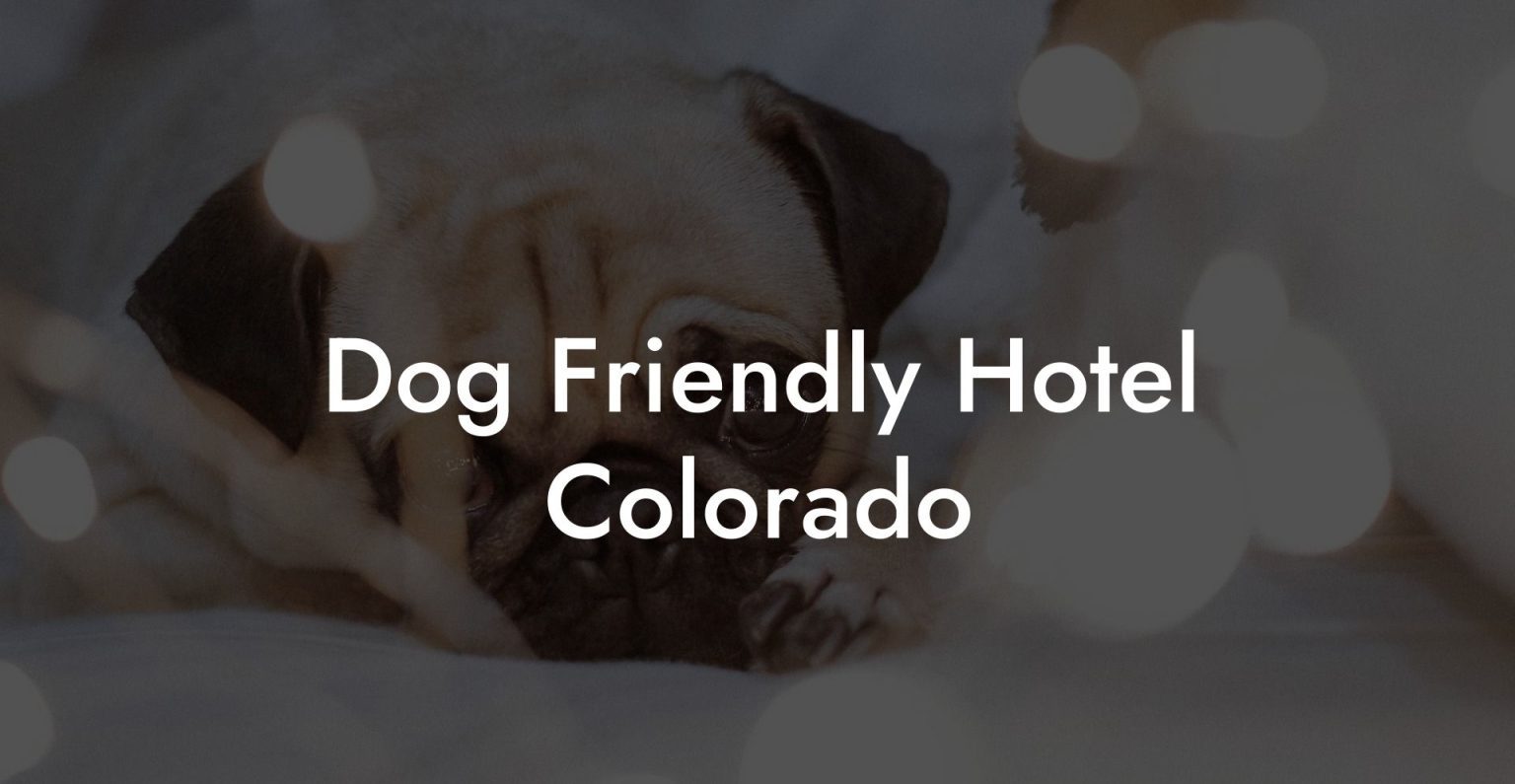 Dog Friendly Hotel Colorado Dog Hotels