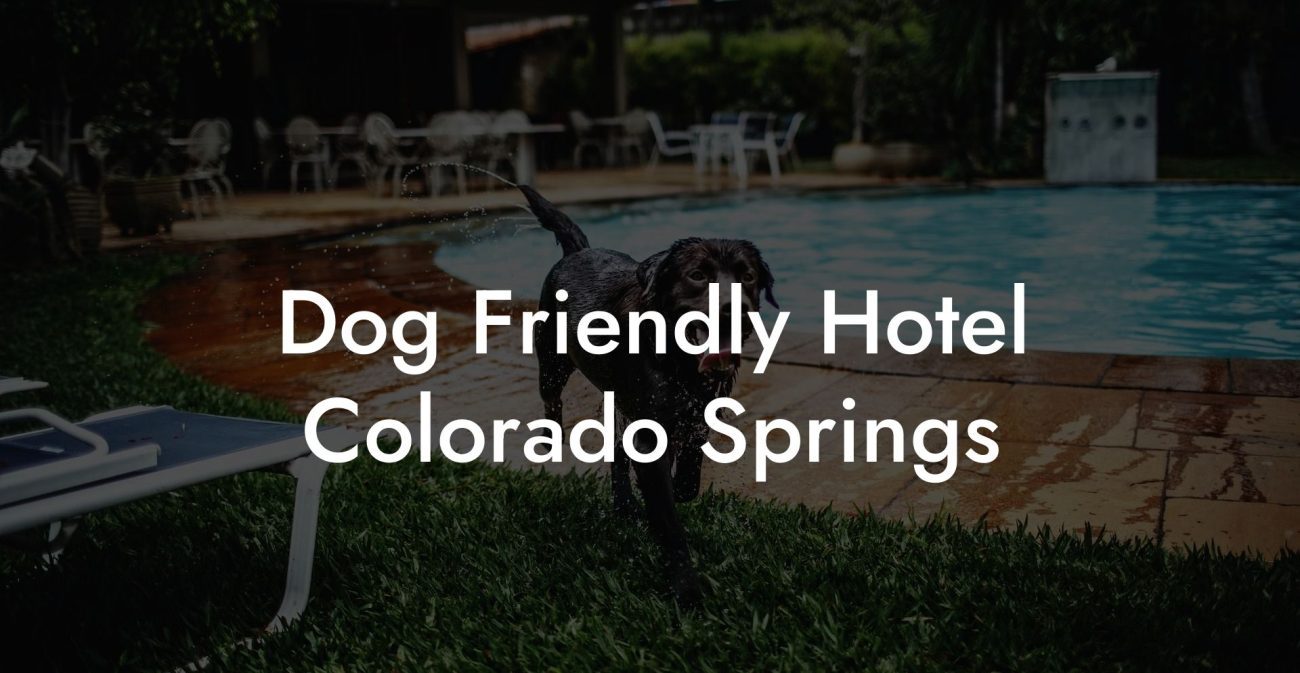 Dog Friendly Hotel Colorado Springs