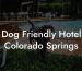 Dog Friendly Hotel Colorado Springs