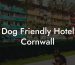 Dog Friendly Hotel Cornwall