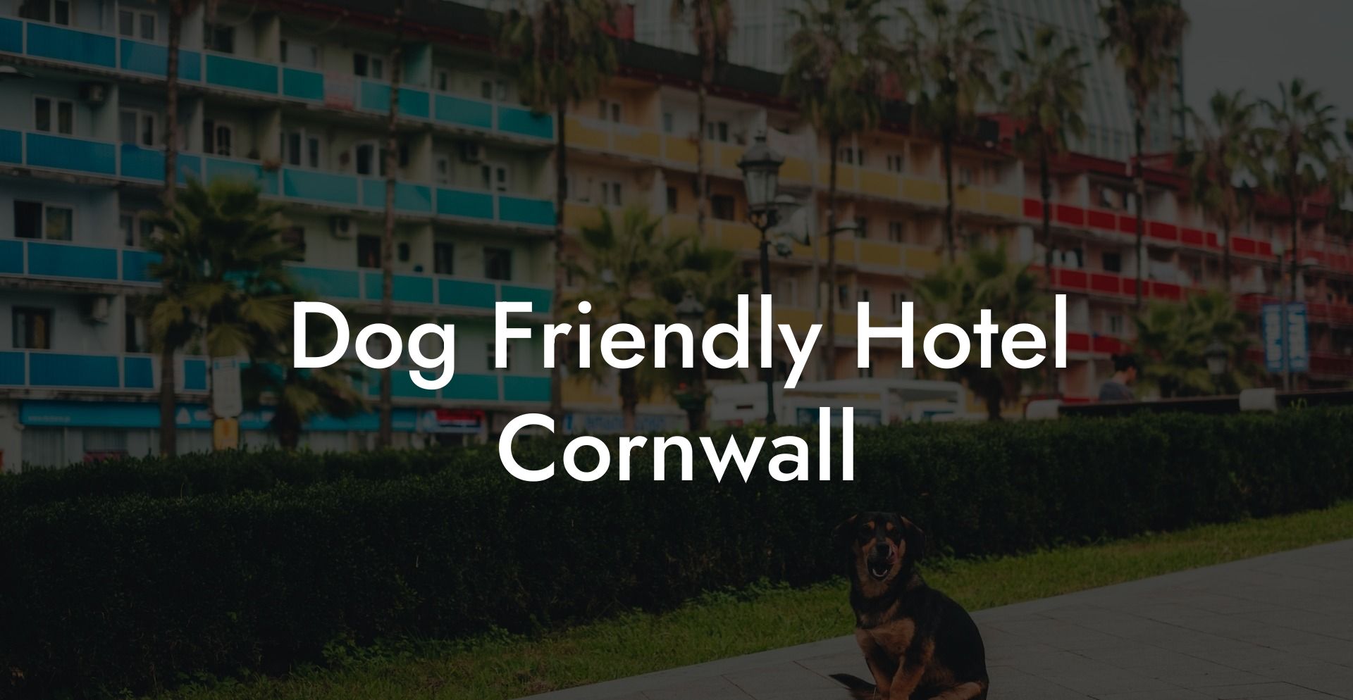 Dog Friendly Hotel Cornwall
