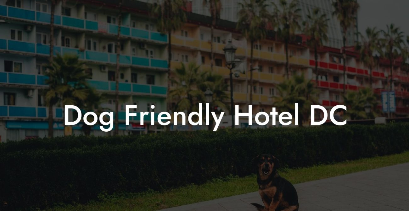 Dog Friendly Hotel DC