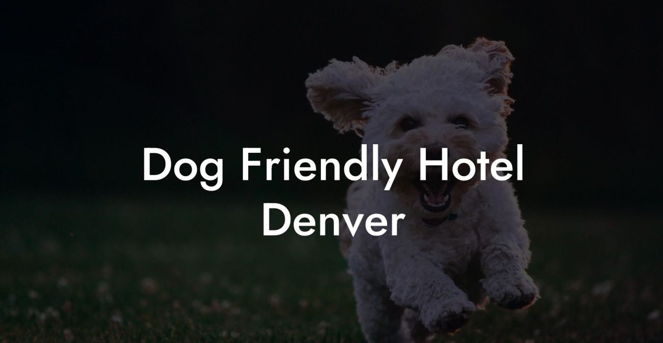 Dog Friendly Hotel Denver