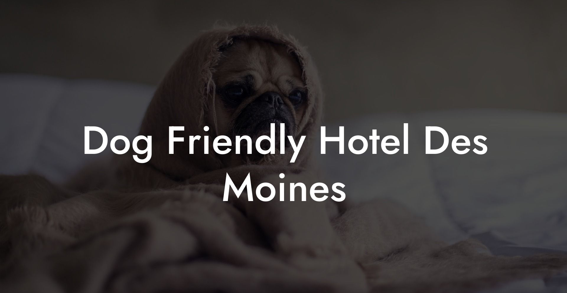 Dog Friendly Hotel Des Moines