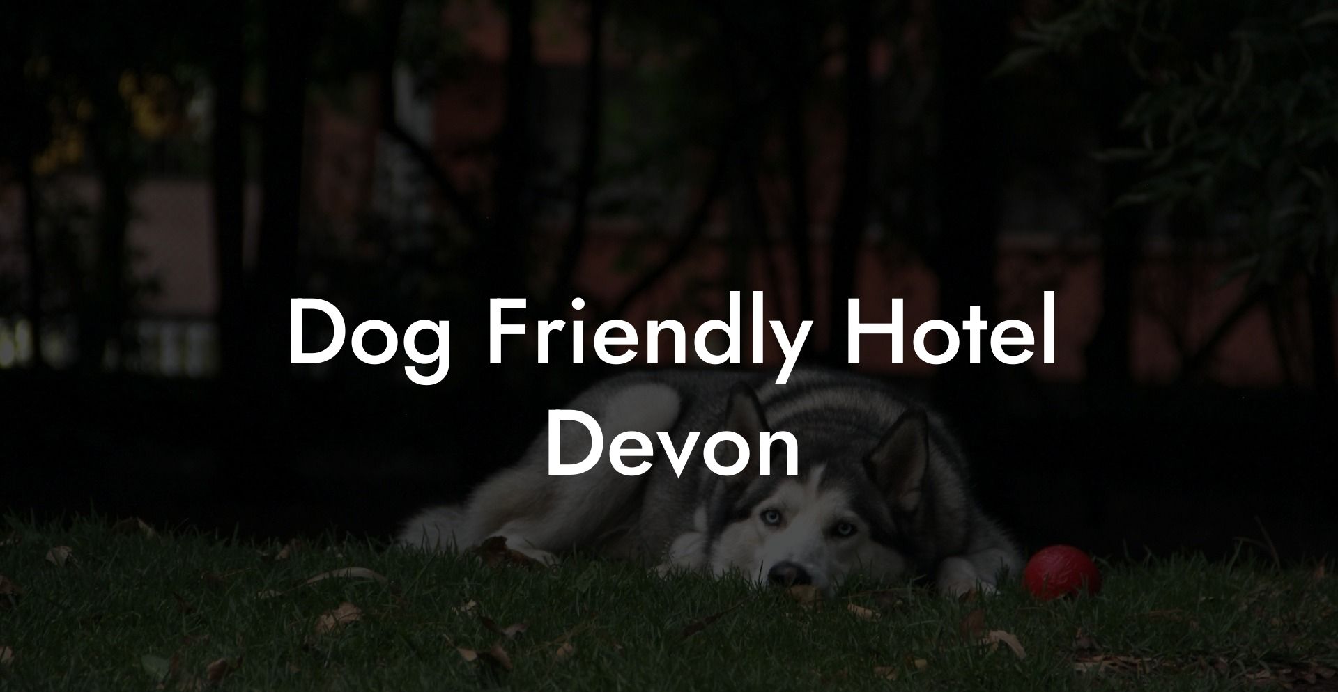 Dog Friendly Hotel Devon