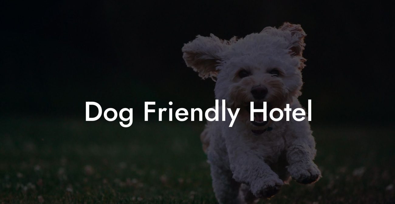 Dog Friendly Hotel