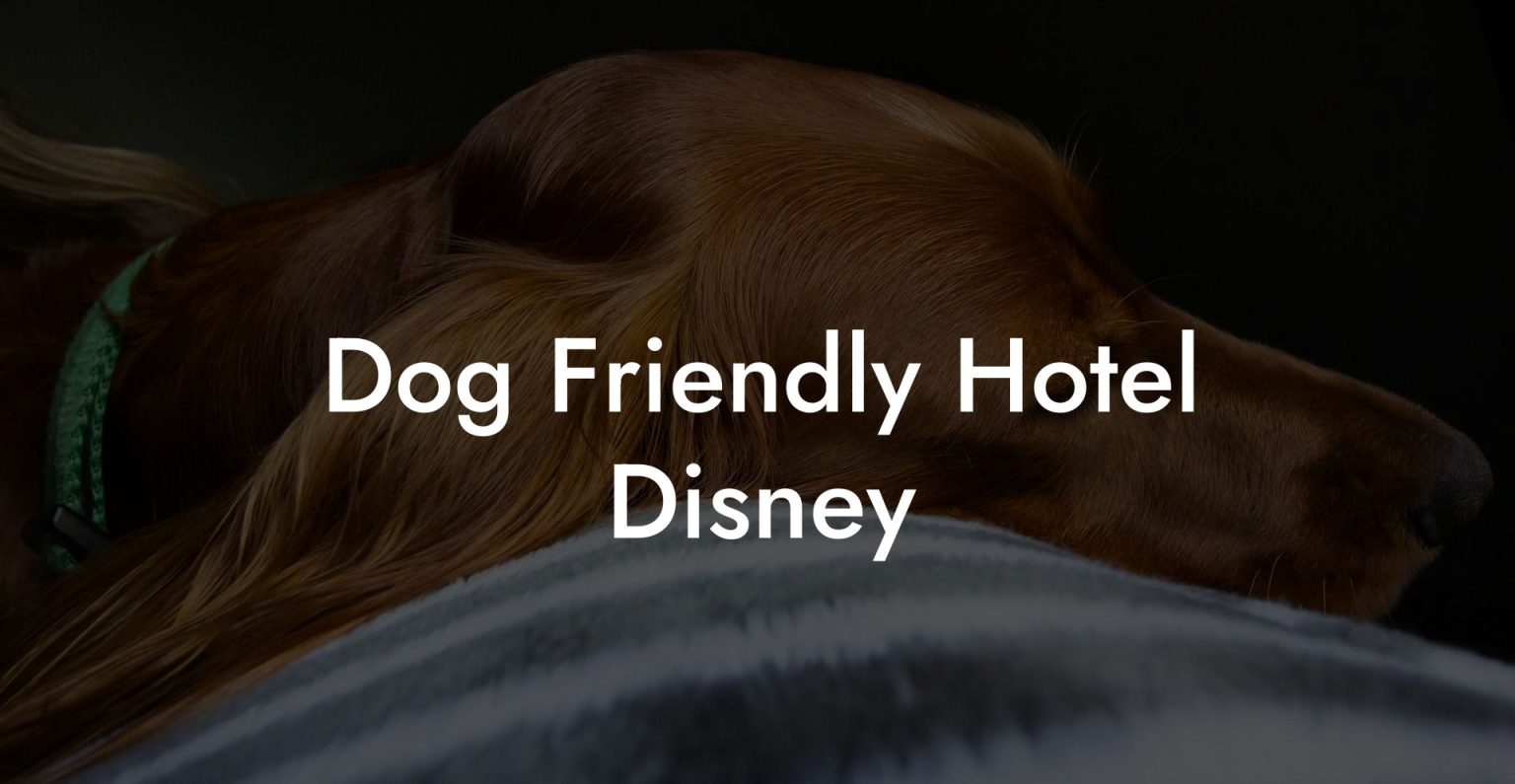 Dog Friendly Hotel Disney Dog Hotels