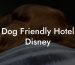 Dog Friendly Hotel Disney