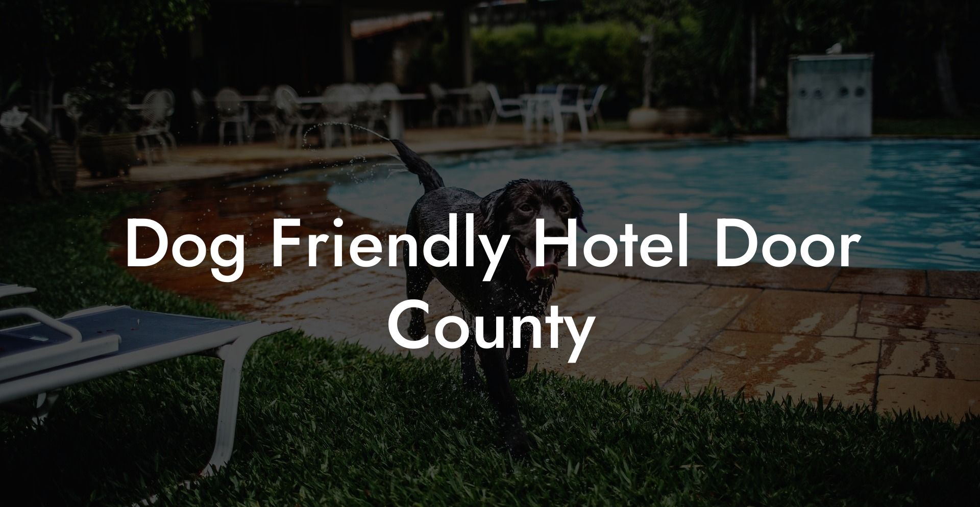 Dog Friendly Hotel Door County
