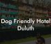 Dog Friendly Hotel Duluth