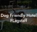 Dog Friendly Hotel FLagstaff