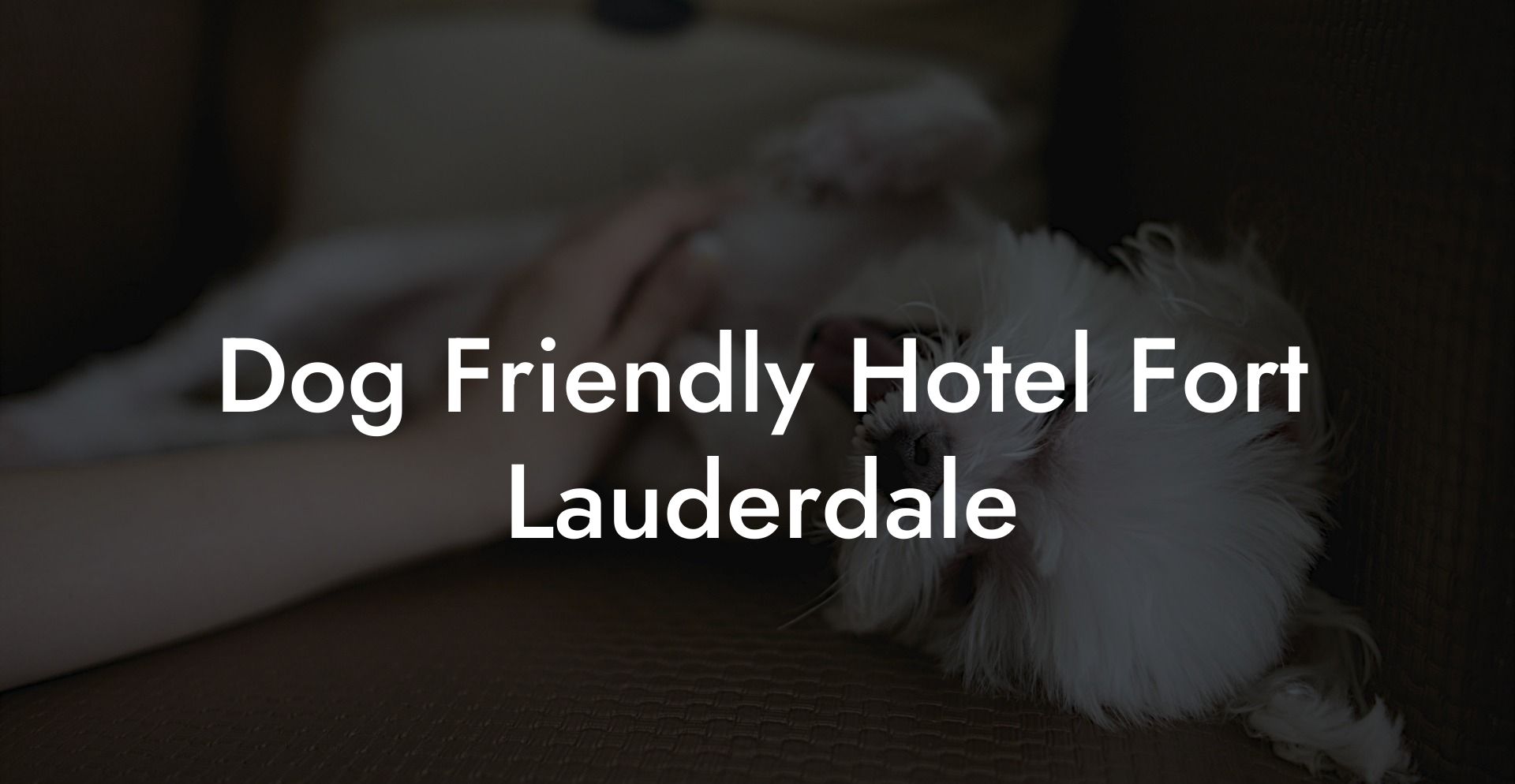Dog Friendly Hotel Fort Lauderdale