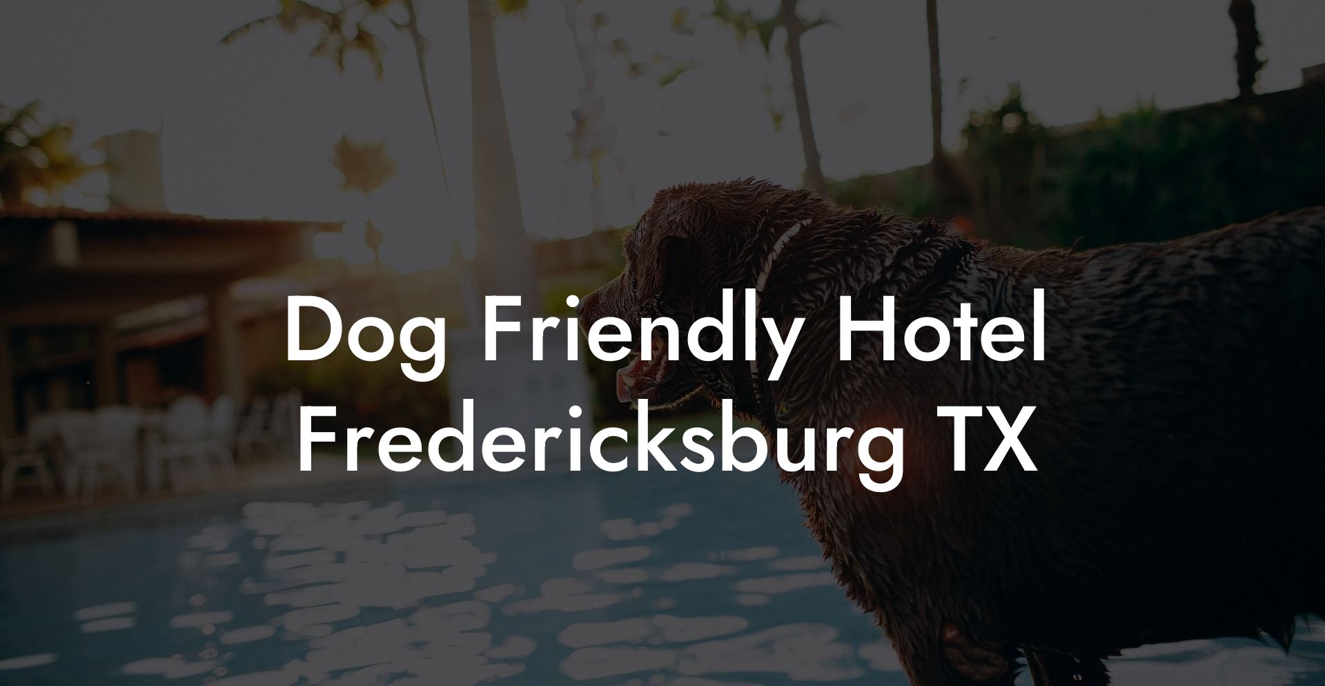 Dog Friendly Hotel Fredericksburg TX