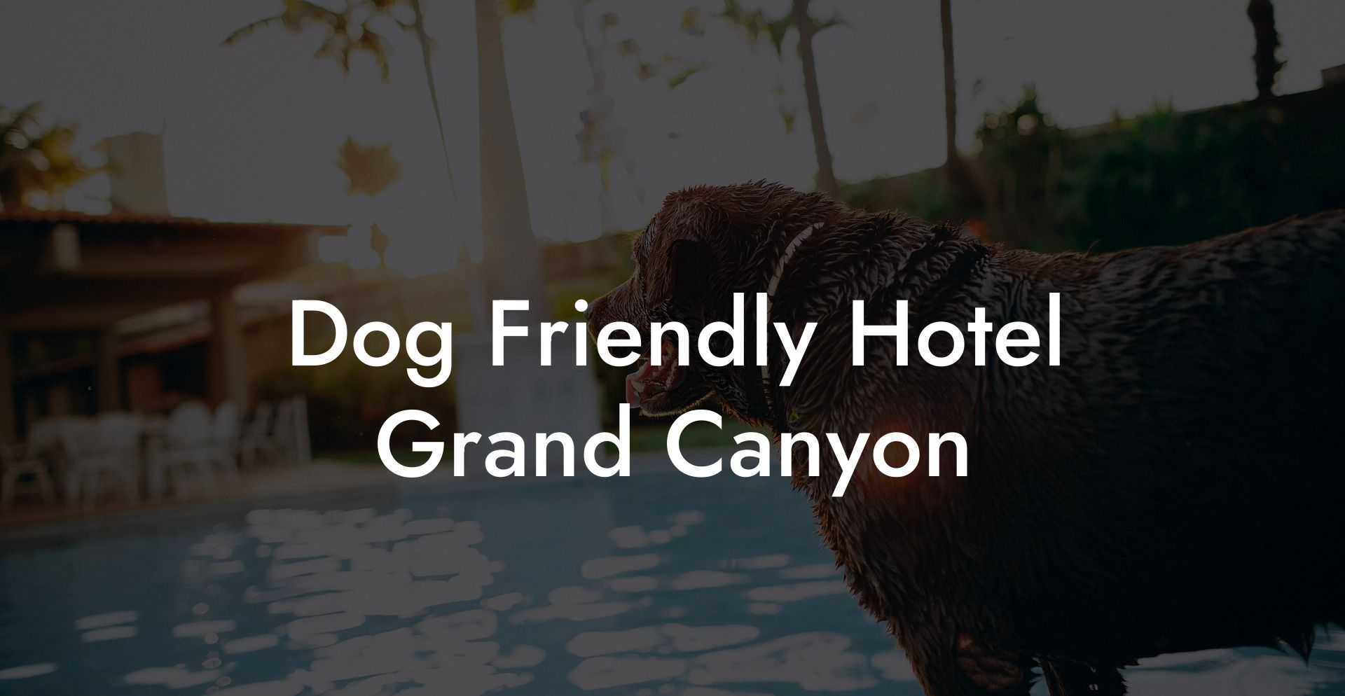 Dog Friendly Hotel Grand Canyon