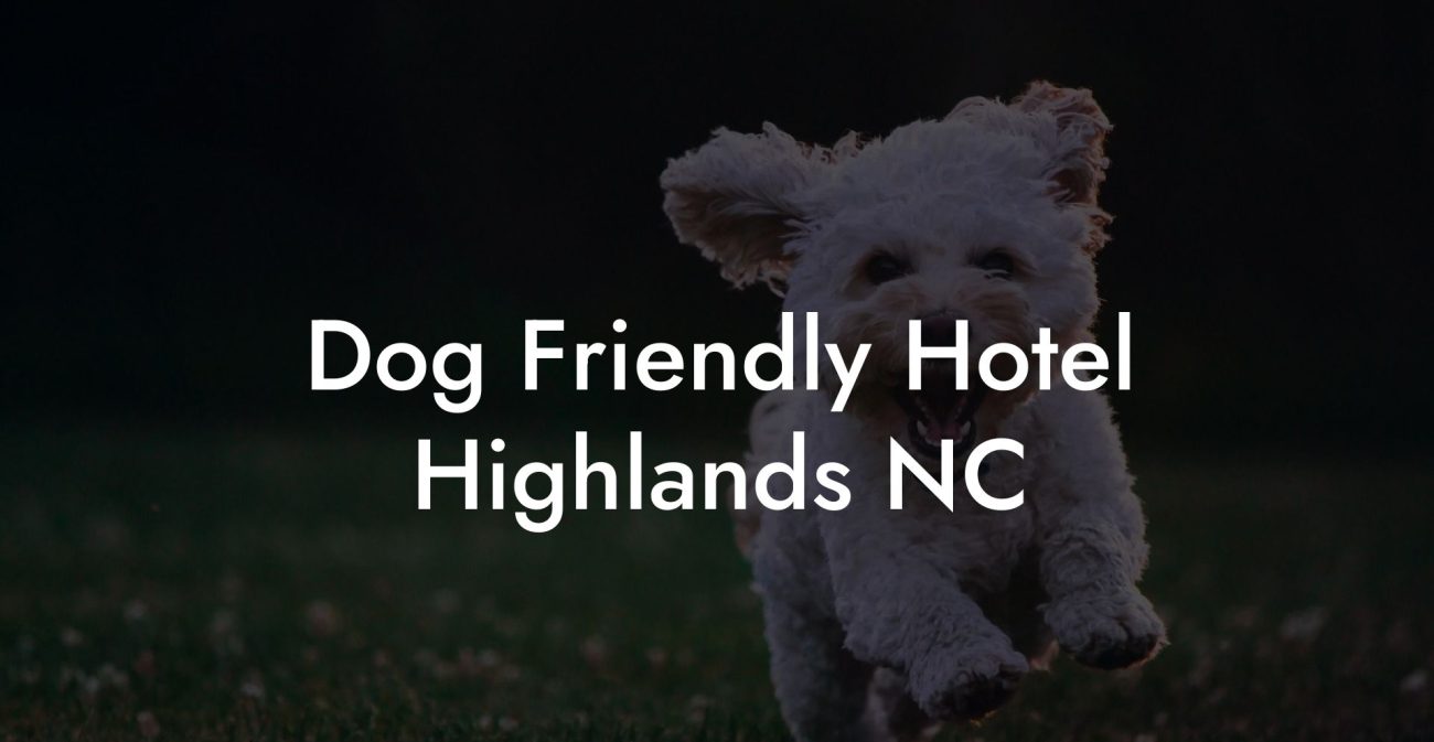 Dog Friendly Hotel Highlands NC