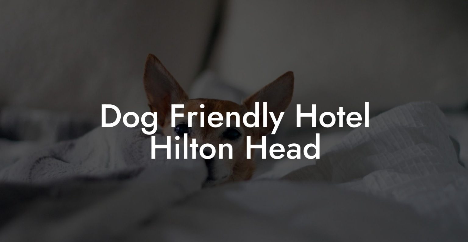Dog Friendly Hotel Hilton Head Dog Hotels