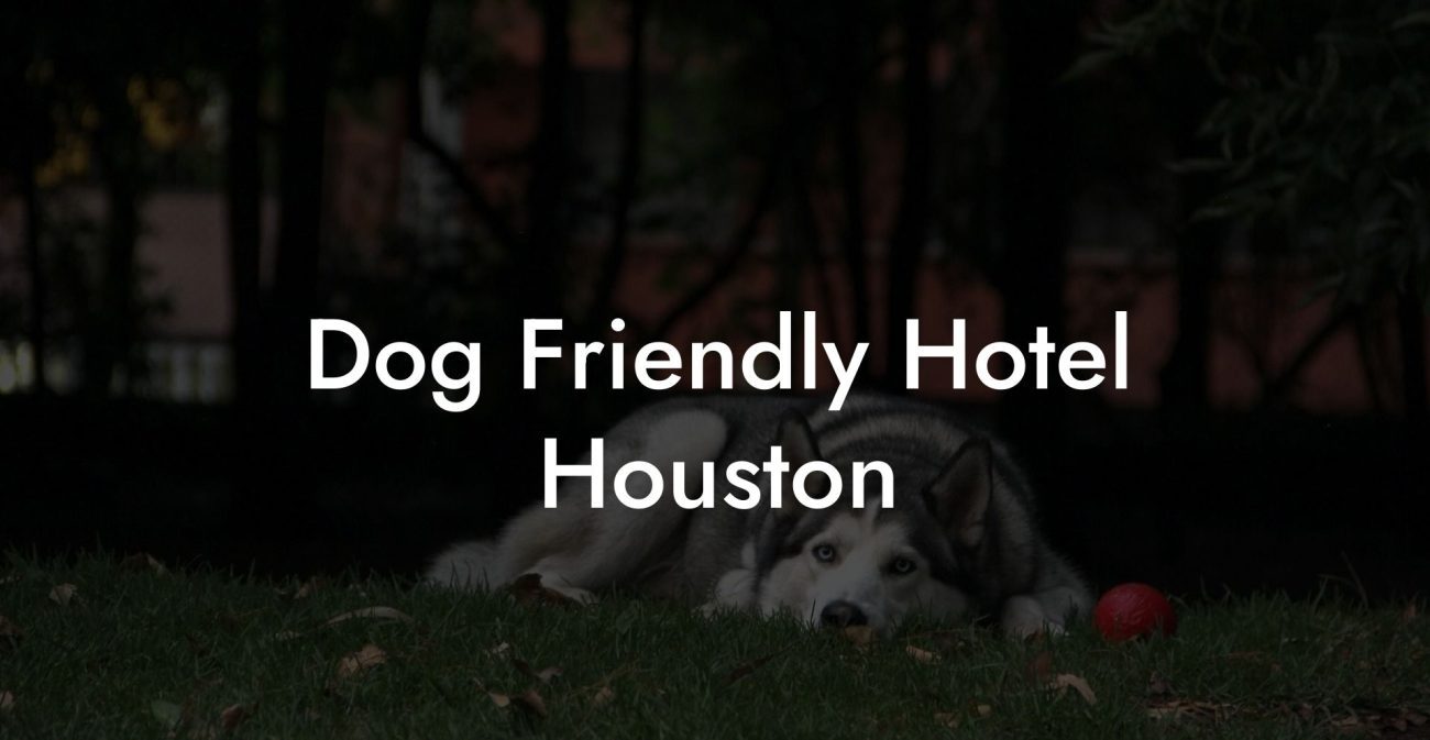 Dog Friendly Hotel Houston