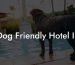 Dog Friendly Hotel In