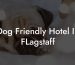 Dog Friendly Hotel In FLagstaff
